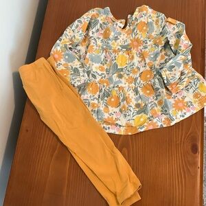 2T legging/shirt set